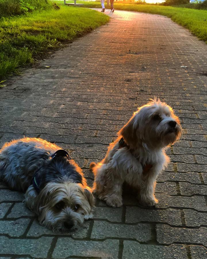 Homeflair Niederkassel Esterno foto