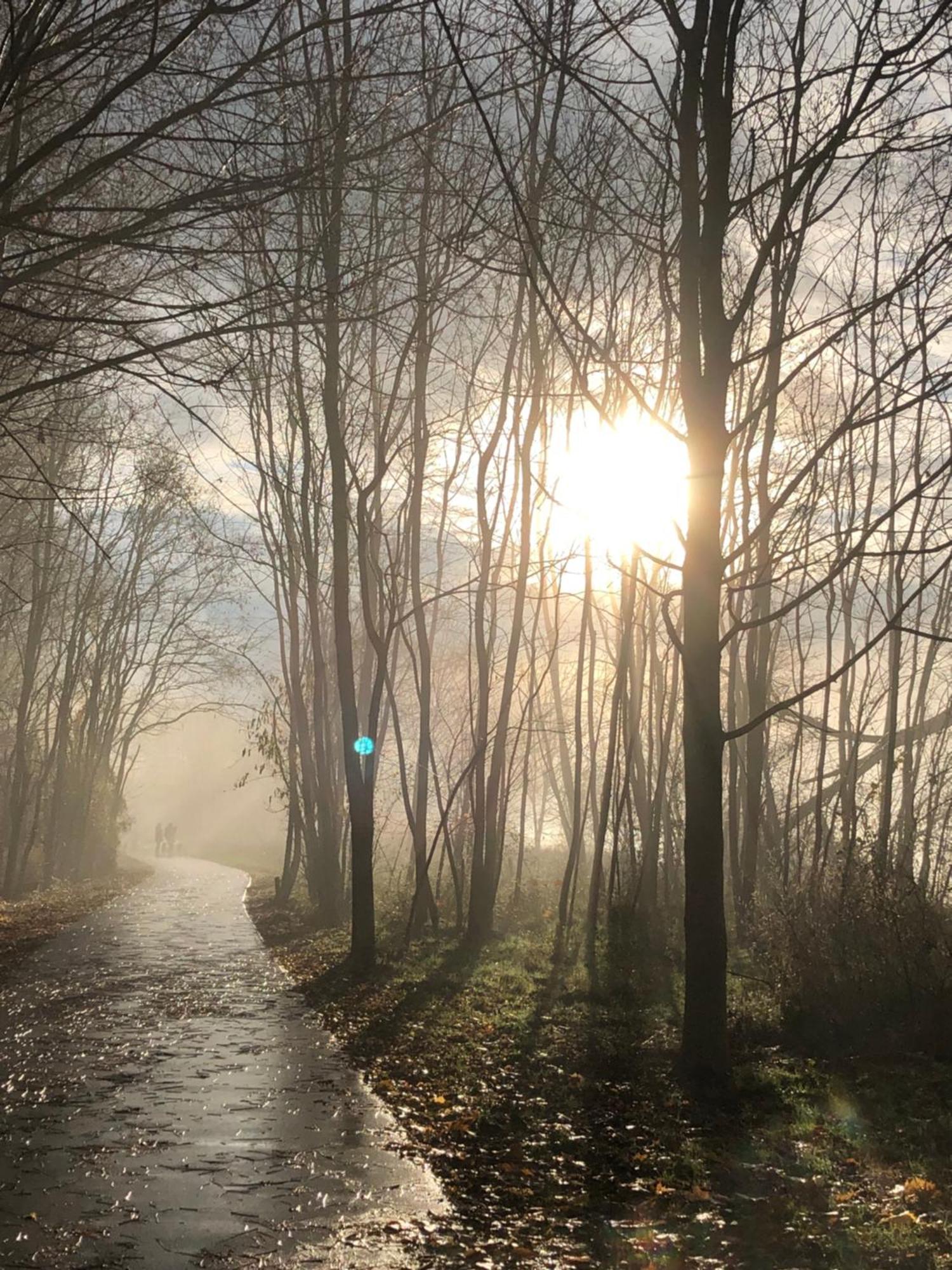 Homeflair Niederkassel Esterno foto